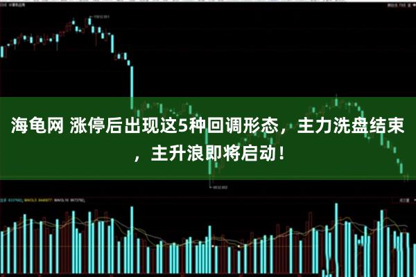 海龟网 涨停后出现这5种回调形态，主力洗盘结束，主升浪即将启动！